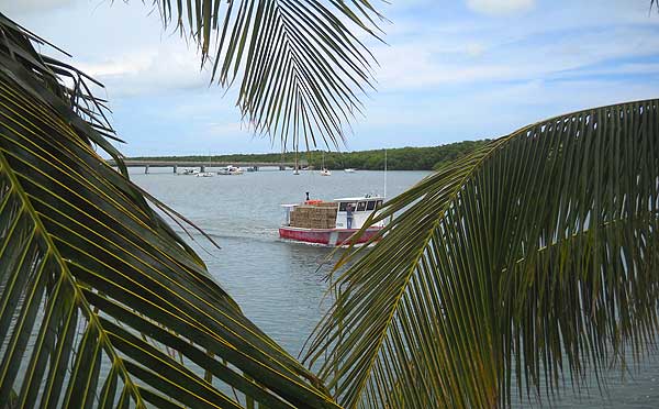 Florida Keys: Lobster boats go to sea, view from the Chiki Tiki at Burdines Marina Florida Keys: Lobster boats go to sea, view from the Chiki Tiki at Burdines Marina
